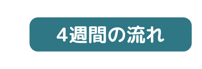 4週間の流れ